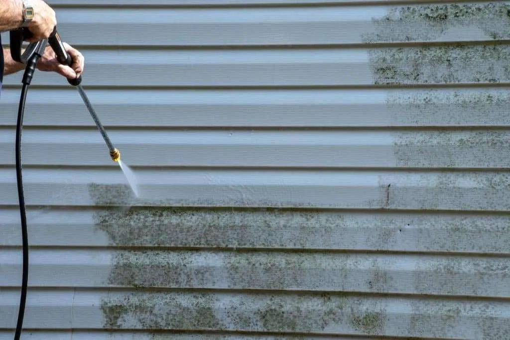 Soft washing algae off vinyl siding